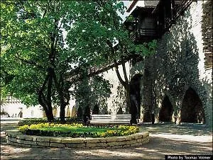 Olevi Residents 3* Таллин