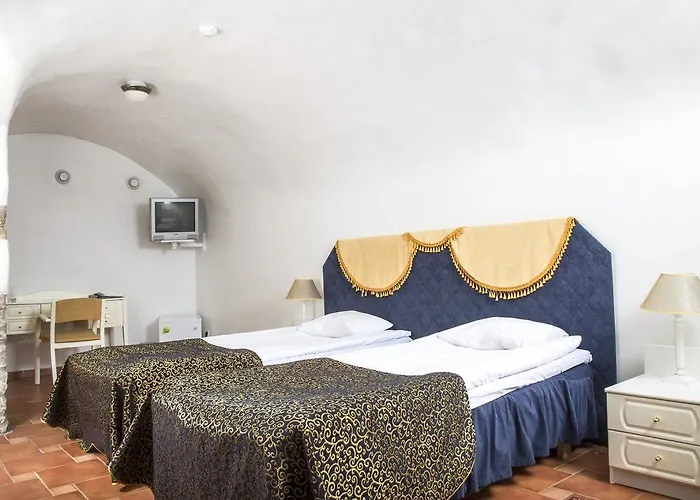 Olevi Residents 3* Ταλίν